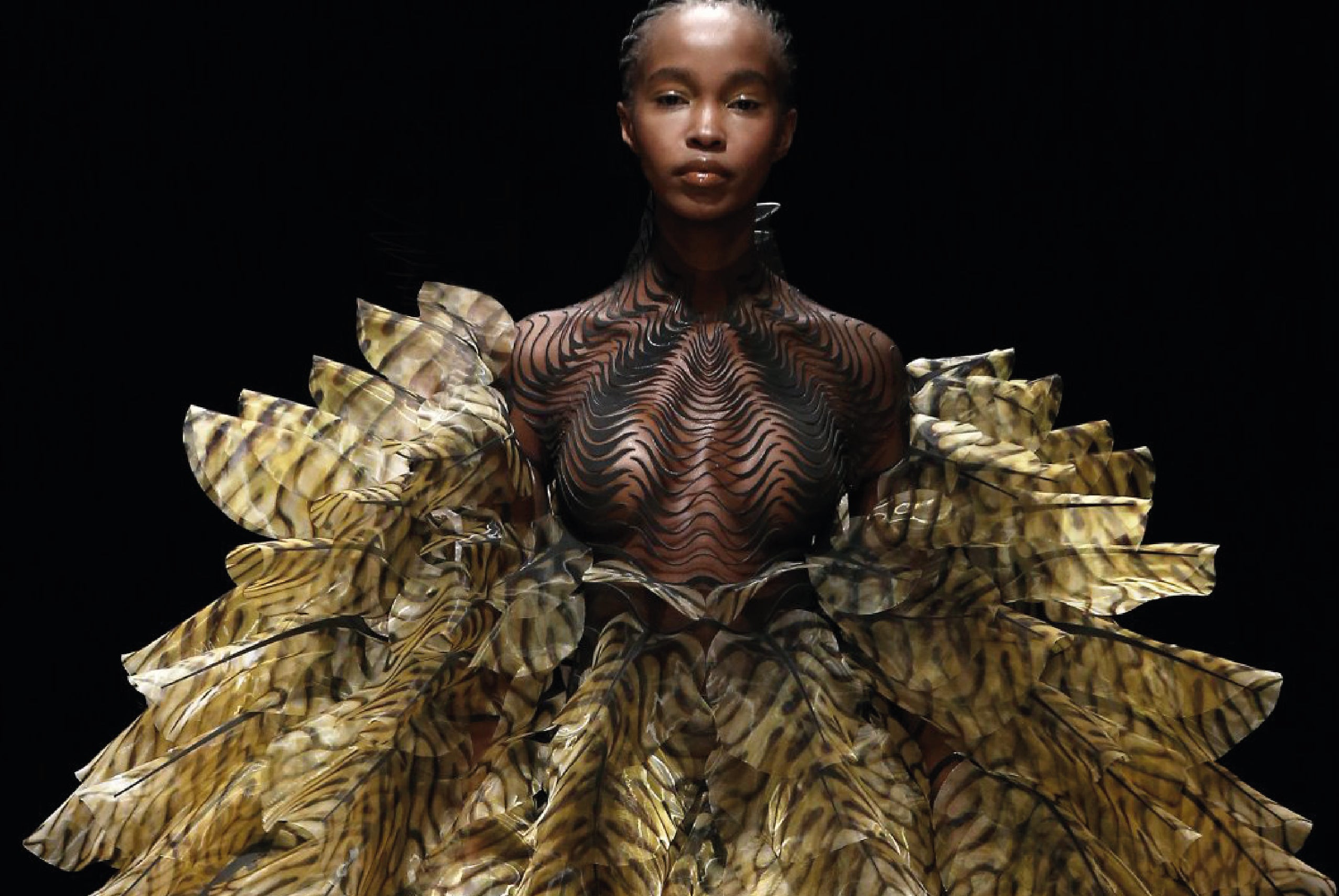 EL TRABAJO DETRAS DE IRIS VAN HERPER