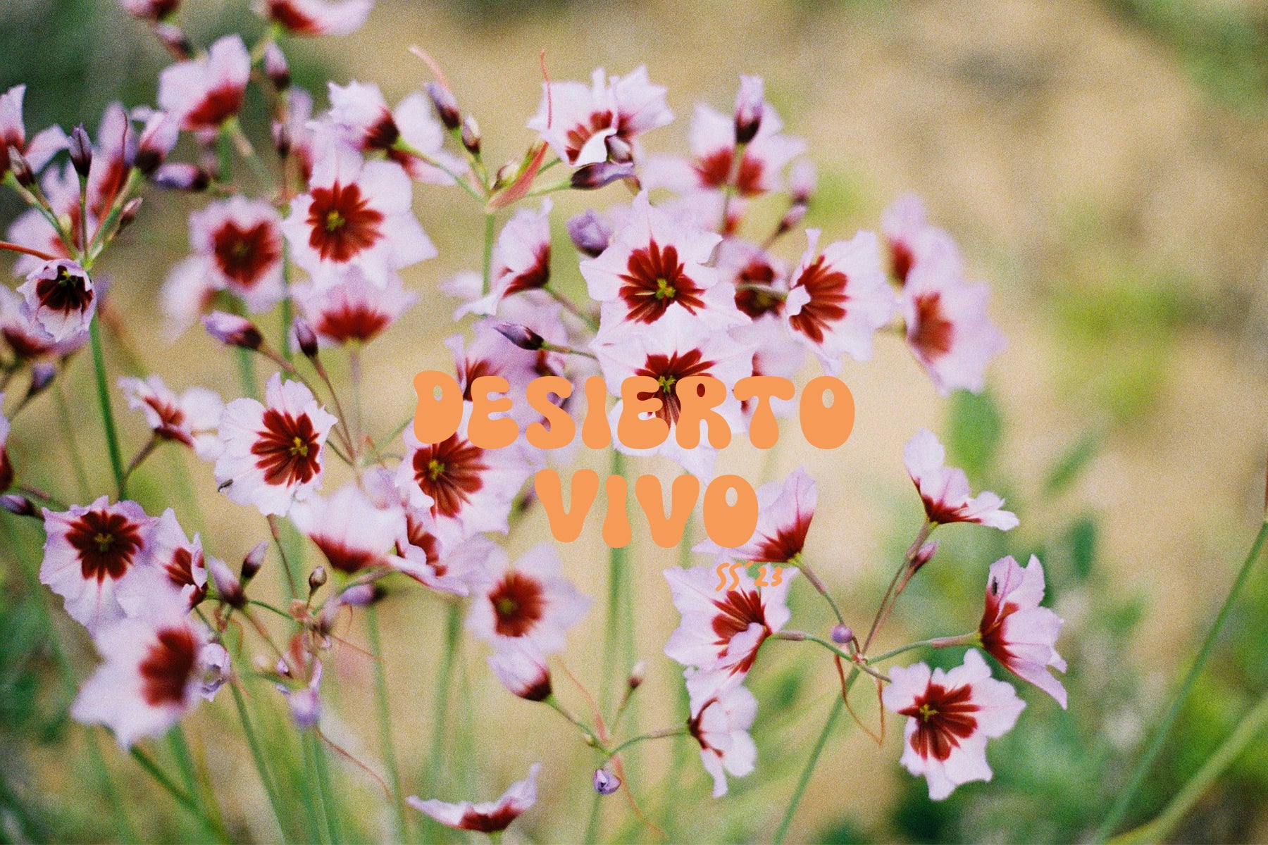 Desierto Vivo SS´23